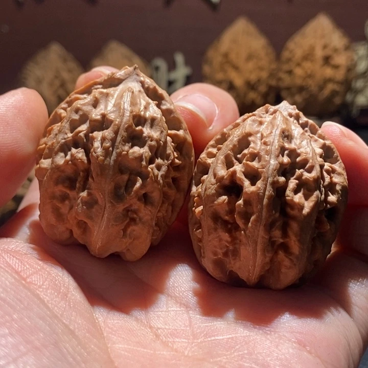 核桃蚂蚁蛋楸玥核99