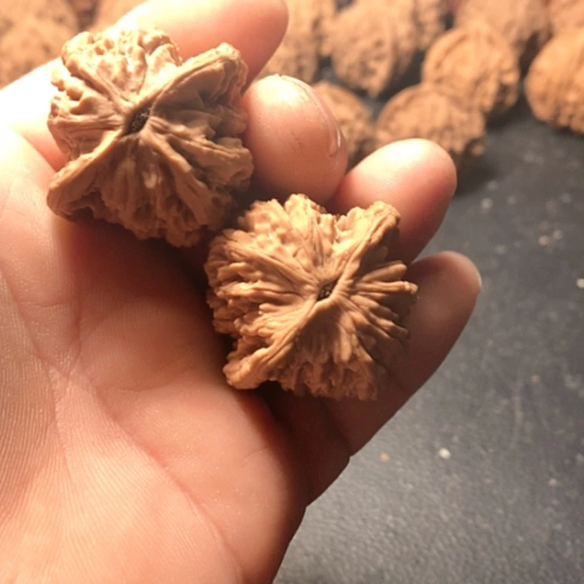【闪购商品】安*虎头