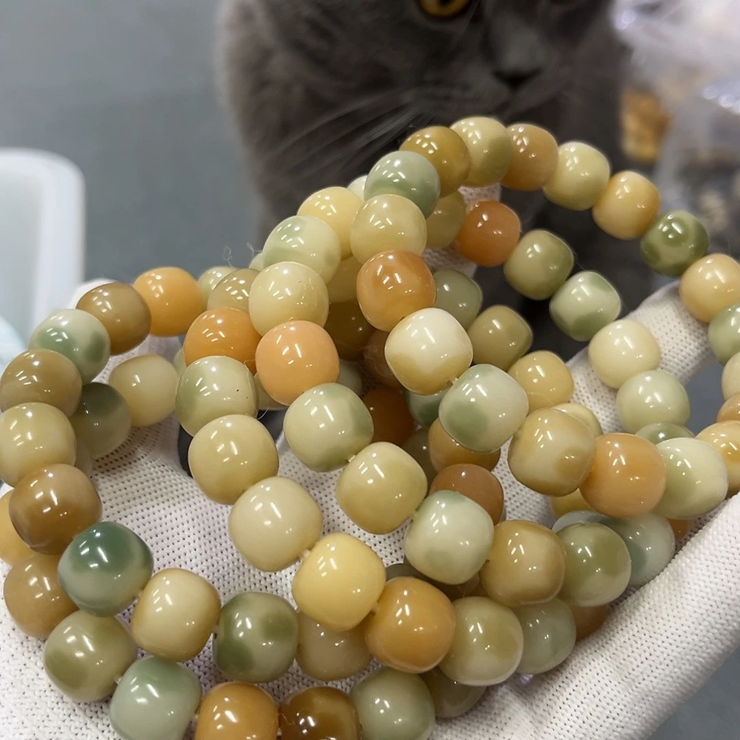 手串菩提根/象牙果A465卡13水磨皮三花猫