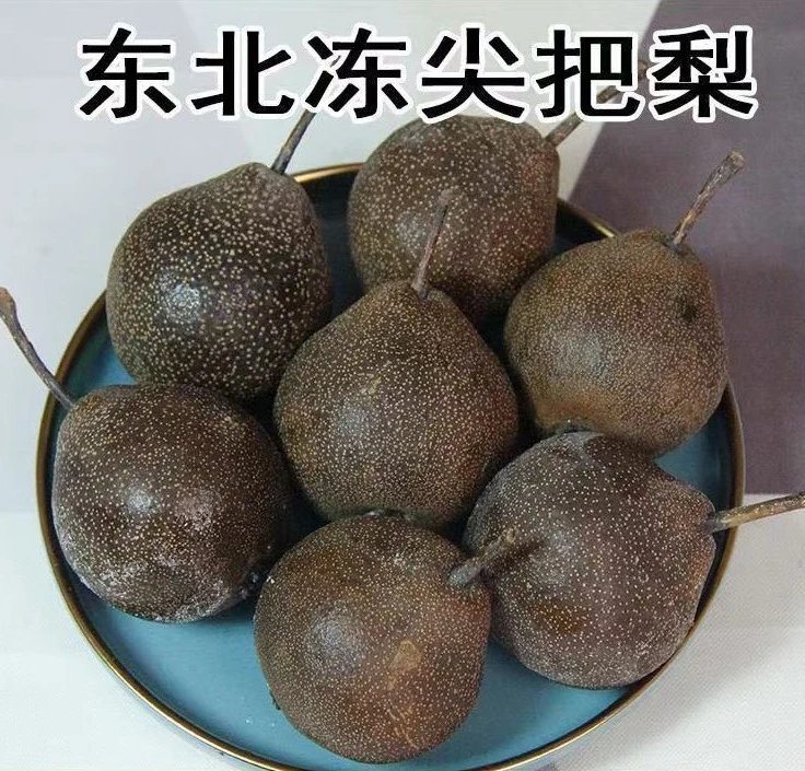 东北水果尖巴子冻梨