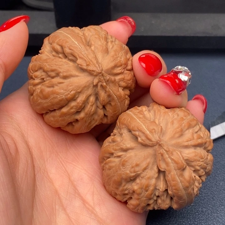 廣***霸王龙全品无刀休