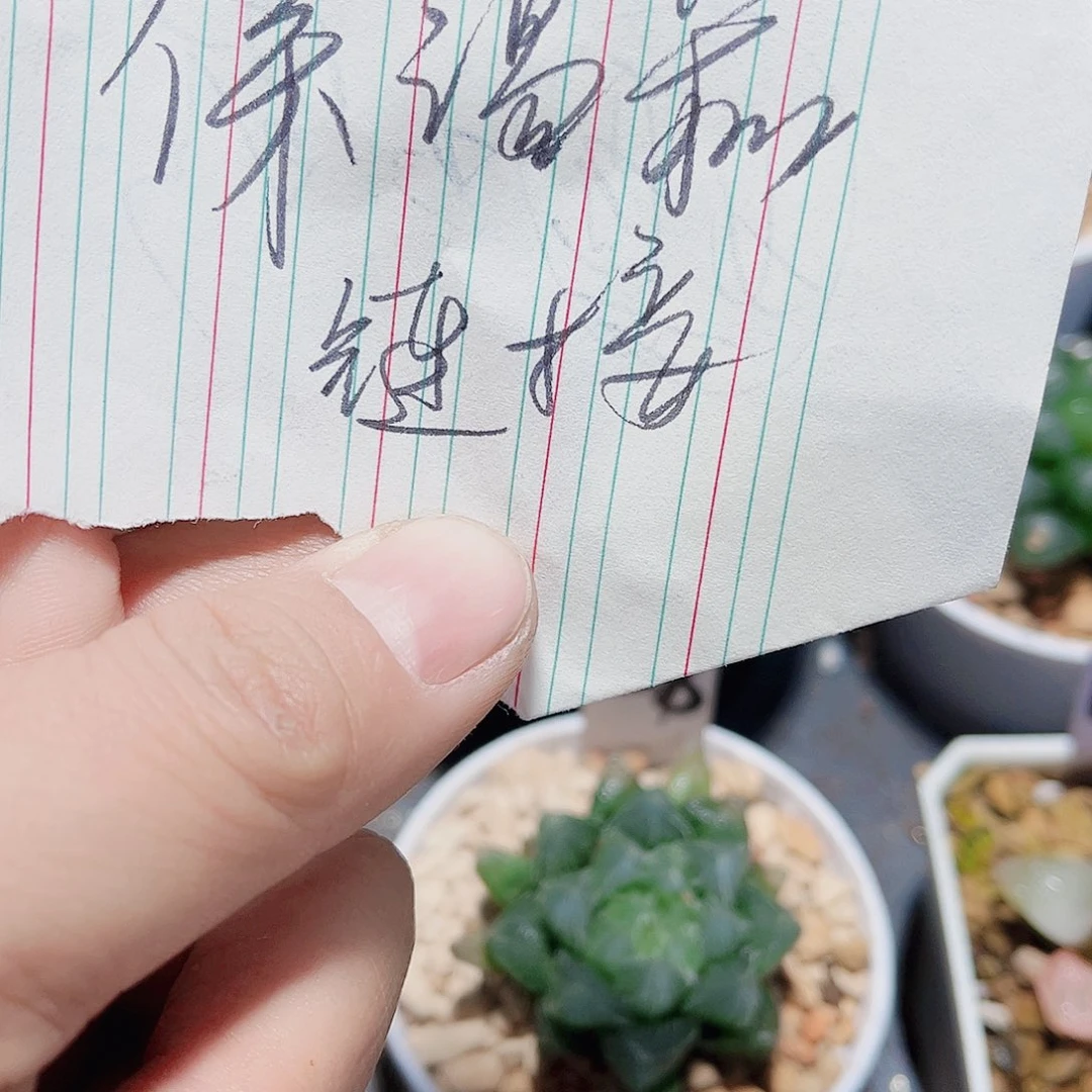 保温箱链接一物一拍