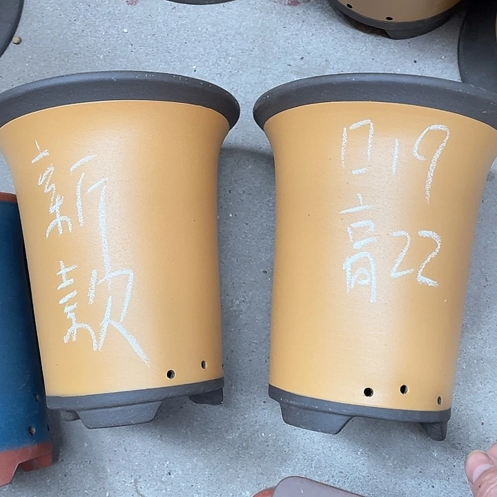 红陶紫砂紫砂紫砂