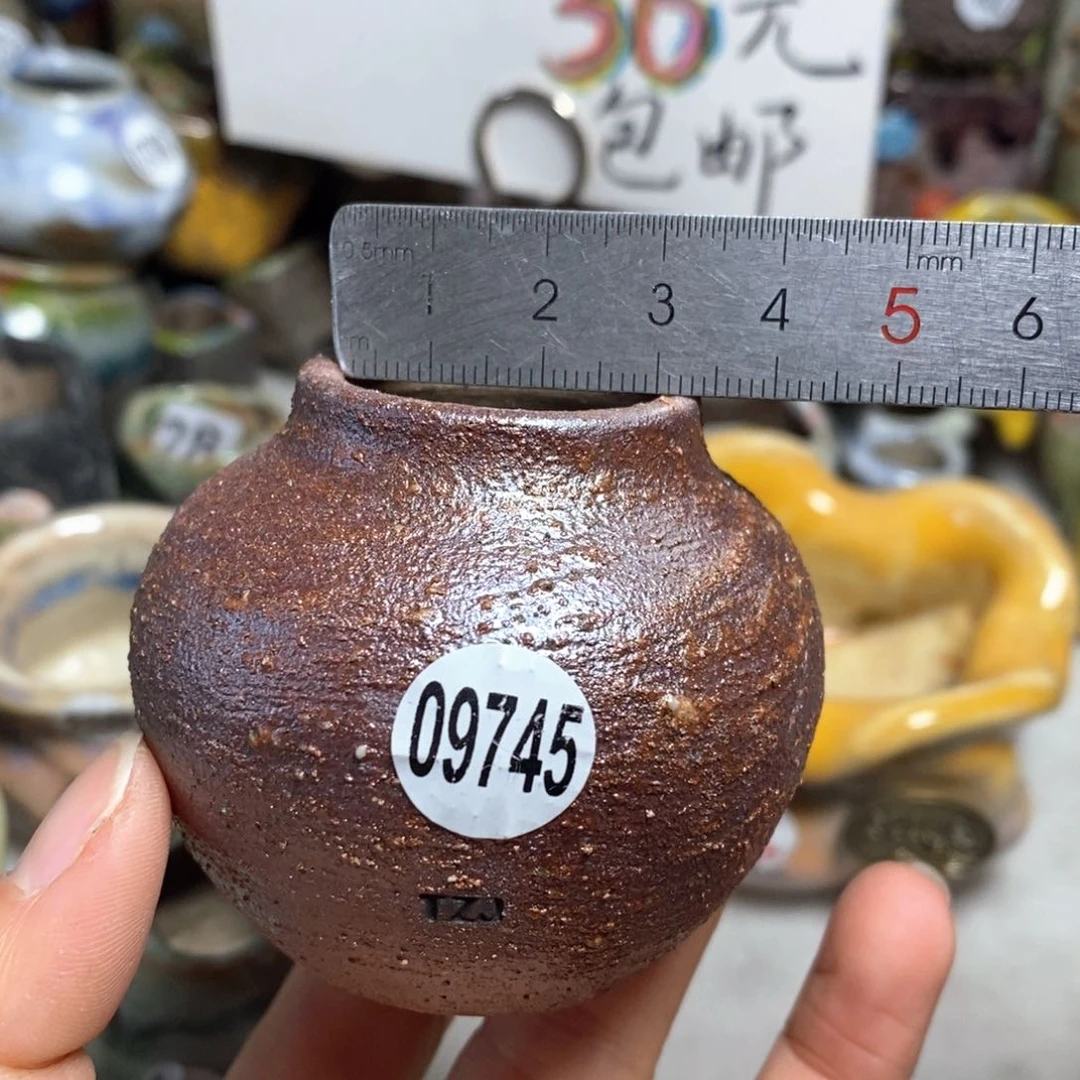 花盆拍5个送一个小礼物