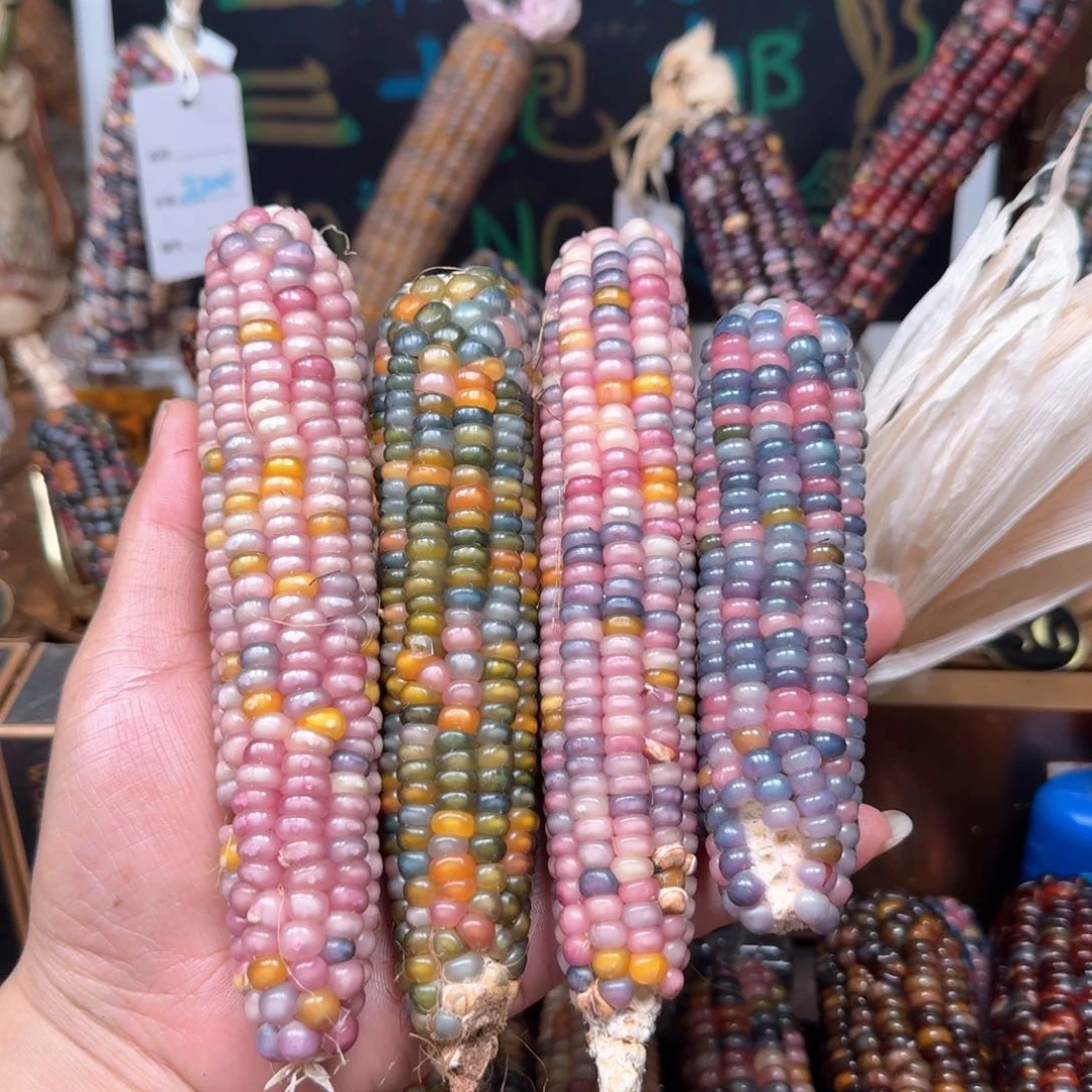 柏香籽/百香籽吊坠番*仔