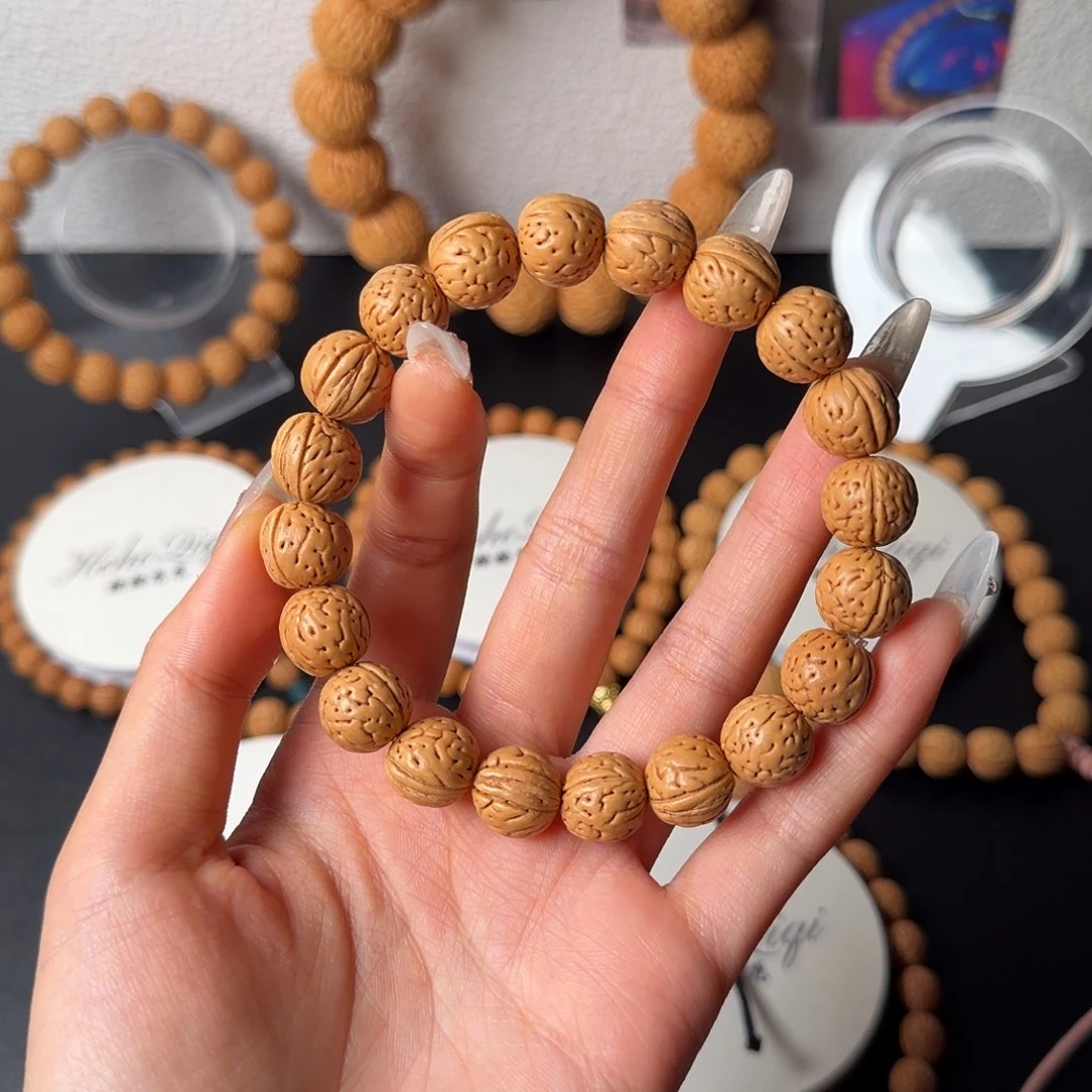 野生宽脐单圈闪18