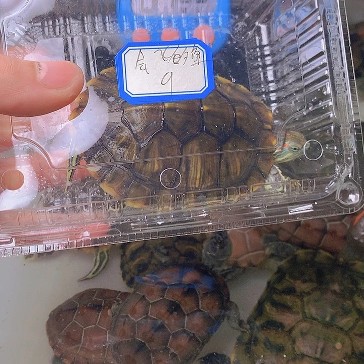 哈哈哈哈哈哈哈哈哈哈哈