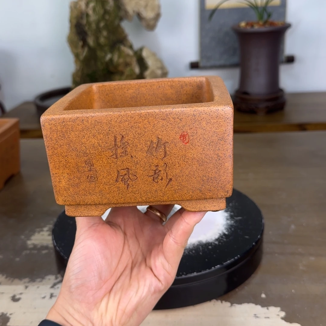 花盆紫砂紫砂花盆