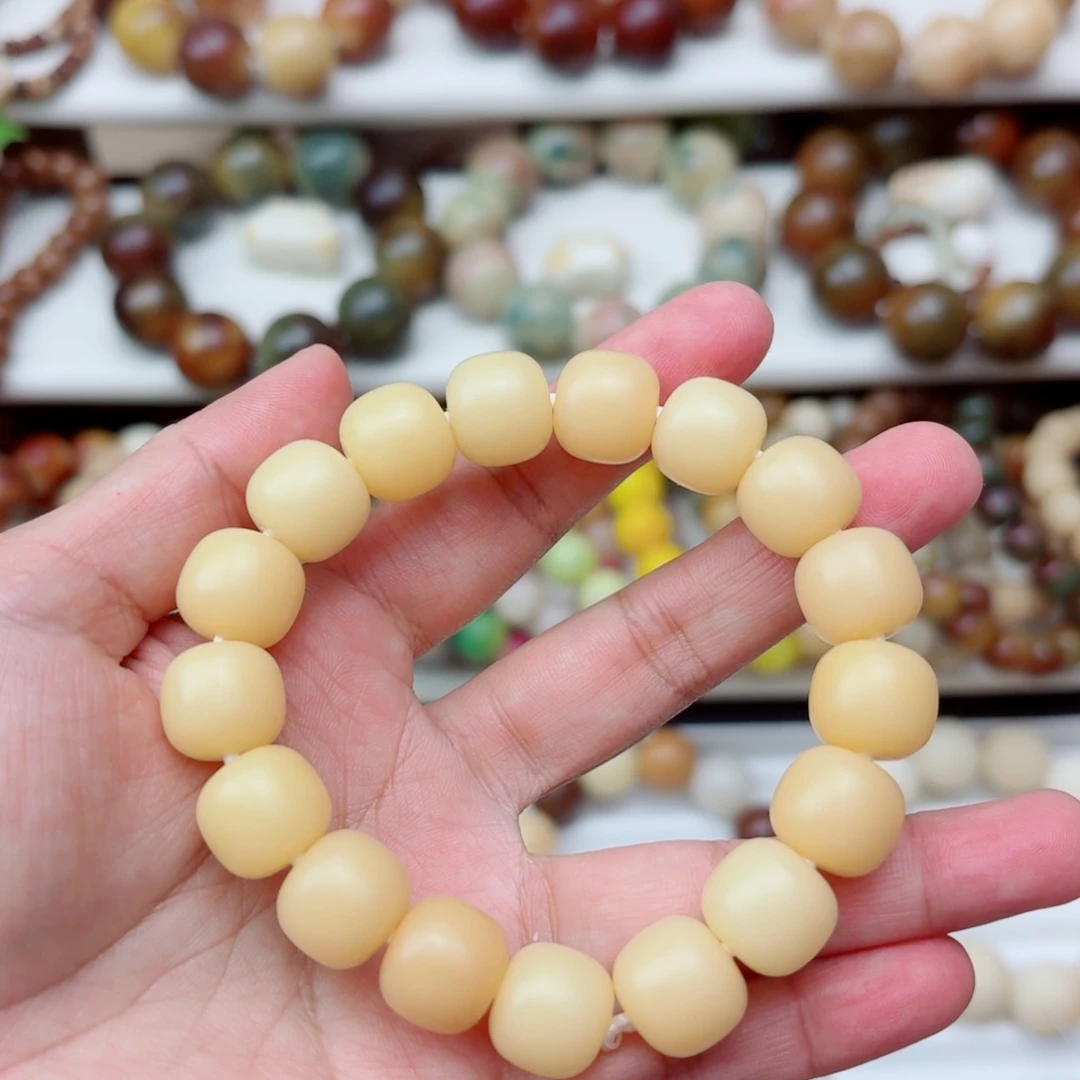 手串菩提根/象牙果