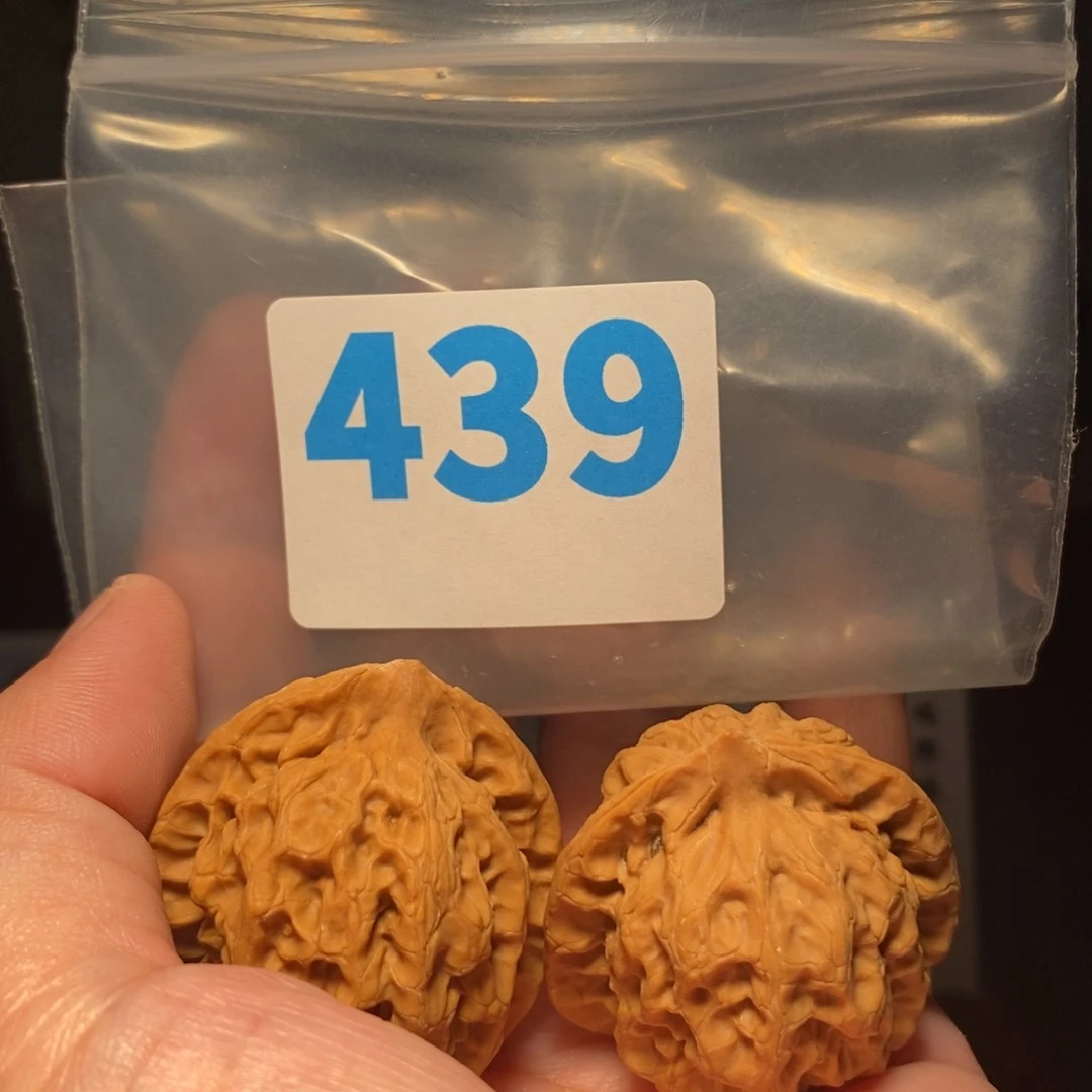 文玩核桃把件文玩核桃把件