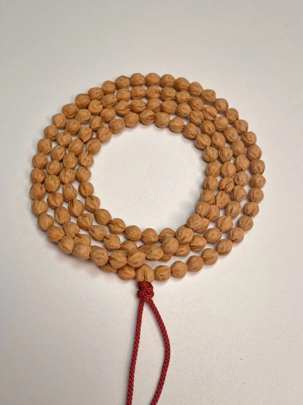 L001单根单品红芽原桩