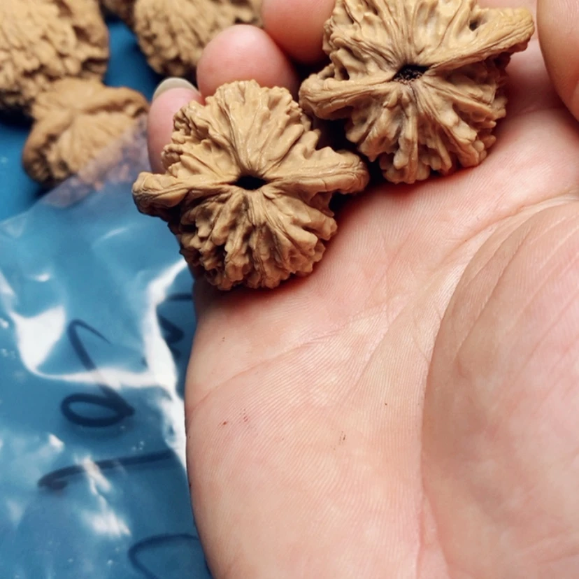 【闪购商品】文玩核桃吊坠无*谓25.25:25