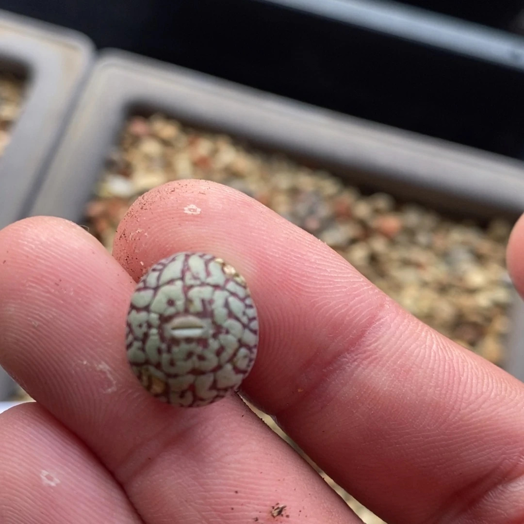 10110墨一个一个