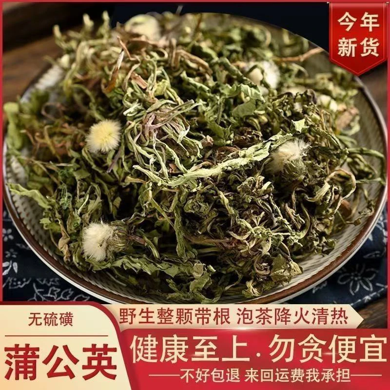 野生蒲公英整棵带根带花干草2025年当年新货蒲公英婆婆丁泡水叶菜