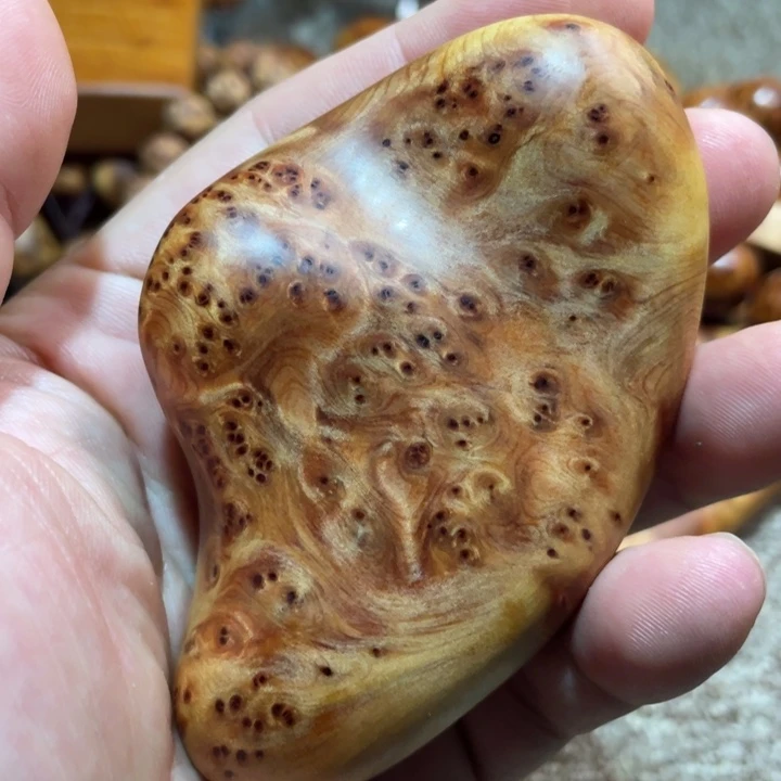 其他柏木（崖柏）把