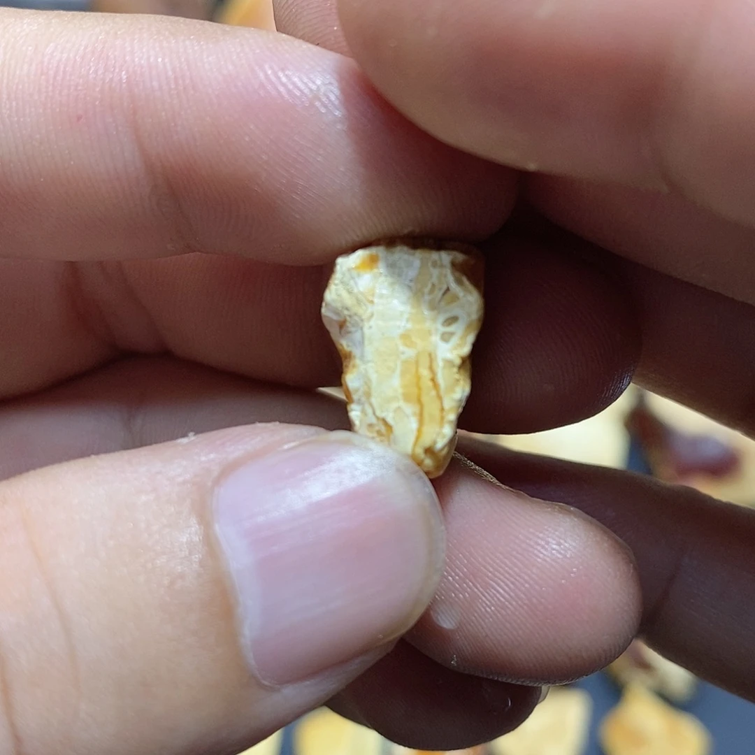 定制琥珀蜜蜡原石定制