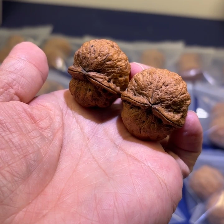 文玩核桃吊坠红河龙珠