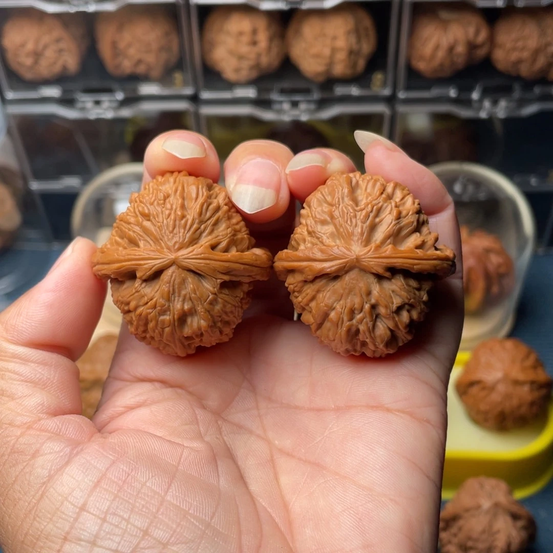 把件文玩核桃39白狮子