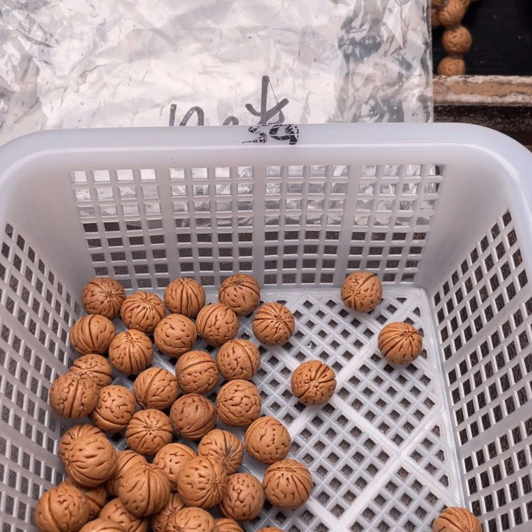 【闪购商品】王***蛙散子批发50米