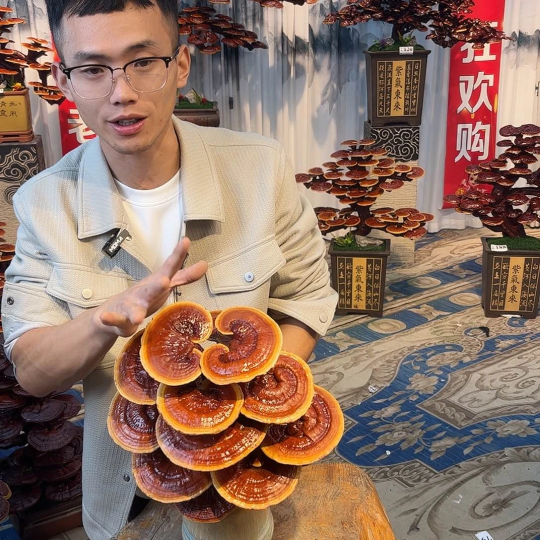 无花朵8888888888888