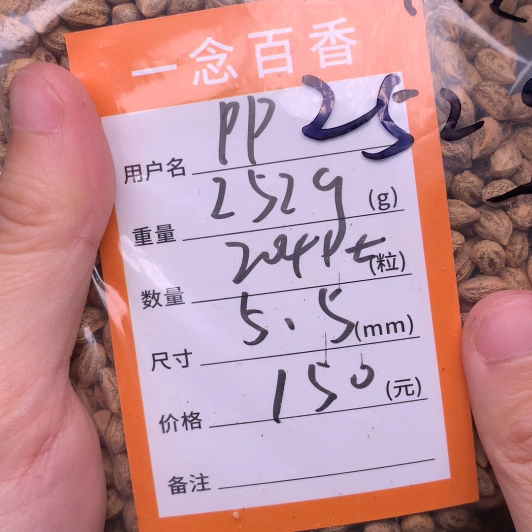 P***^热振柏香脖挂散籽