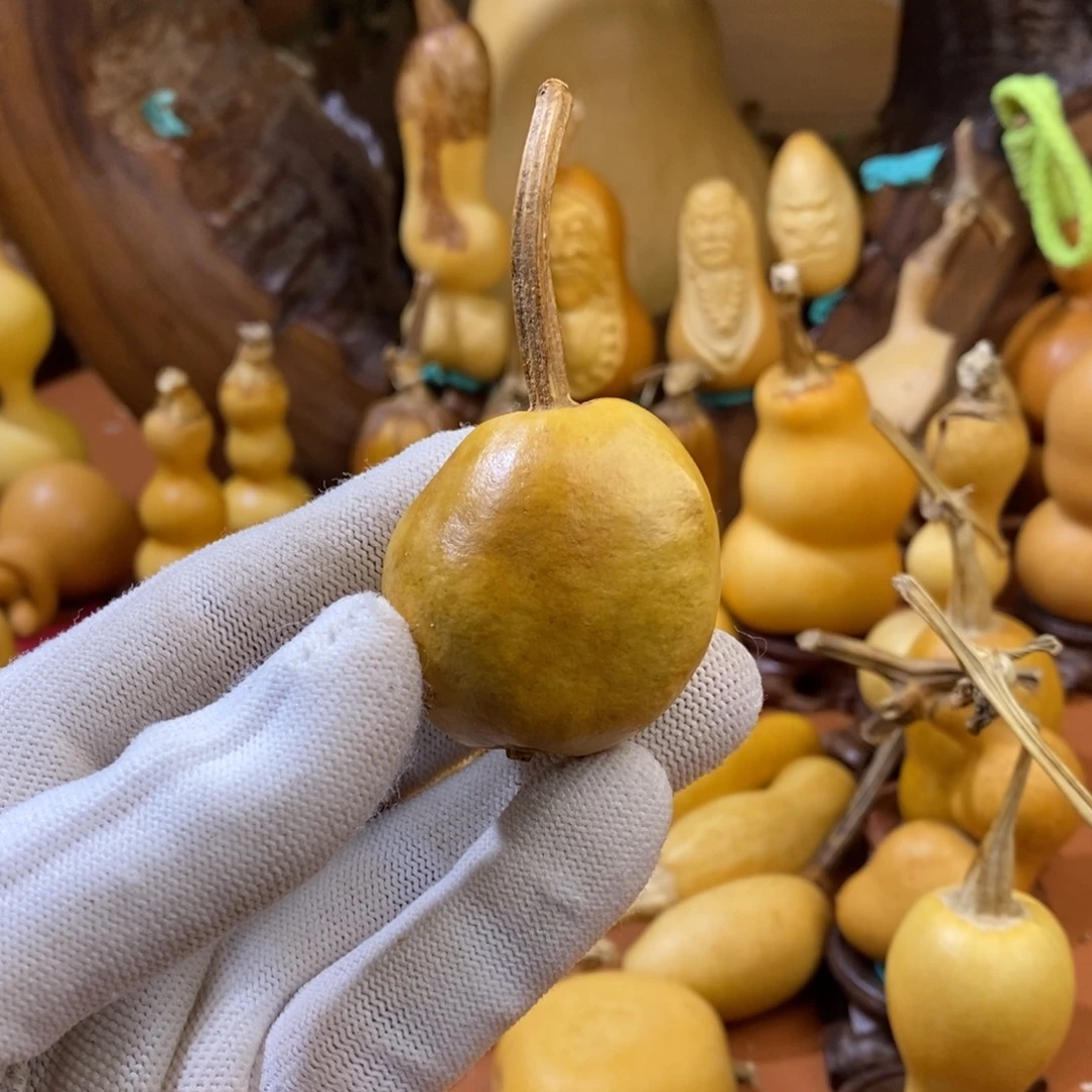 尘***缘啊教练教练咯哦哦哦啊