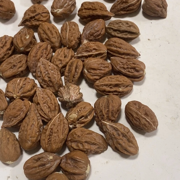 桃核吊坠东北特产3