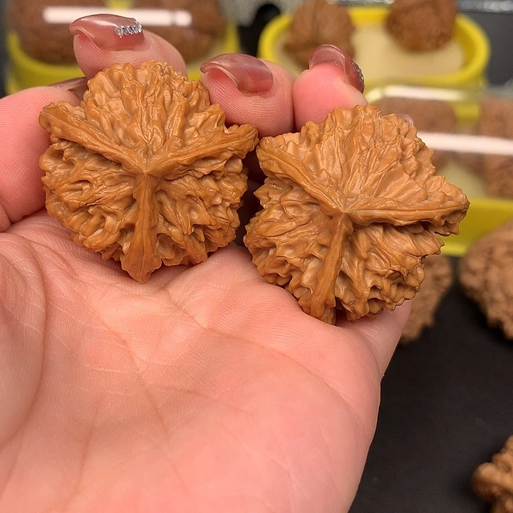文玩核桃吊坠王***范11三棱