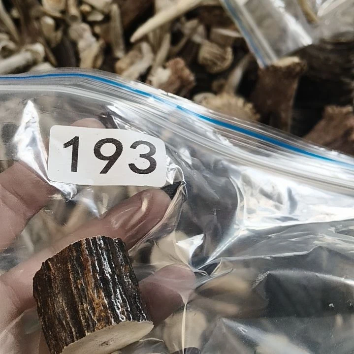 世***间鹿角鹿角鹿角鹿角鹿角鹿角
