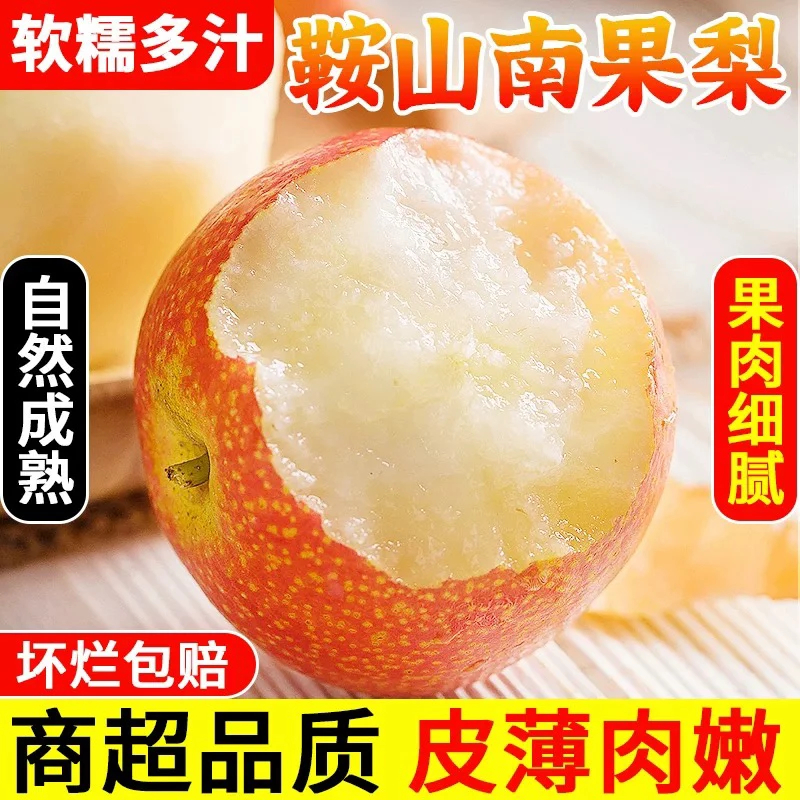 新鲜苹果真实南果梨当季水果软糯多汁产地直发美味可口vs东北