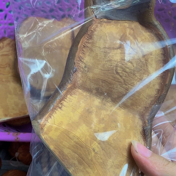 淘***逛菩提根/象牙果吊坠35