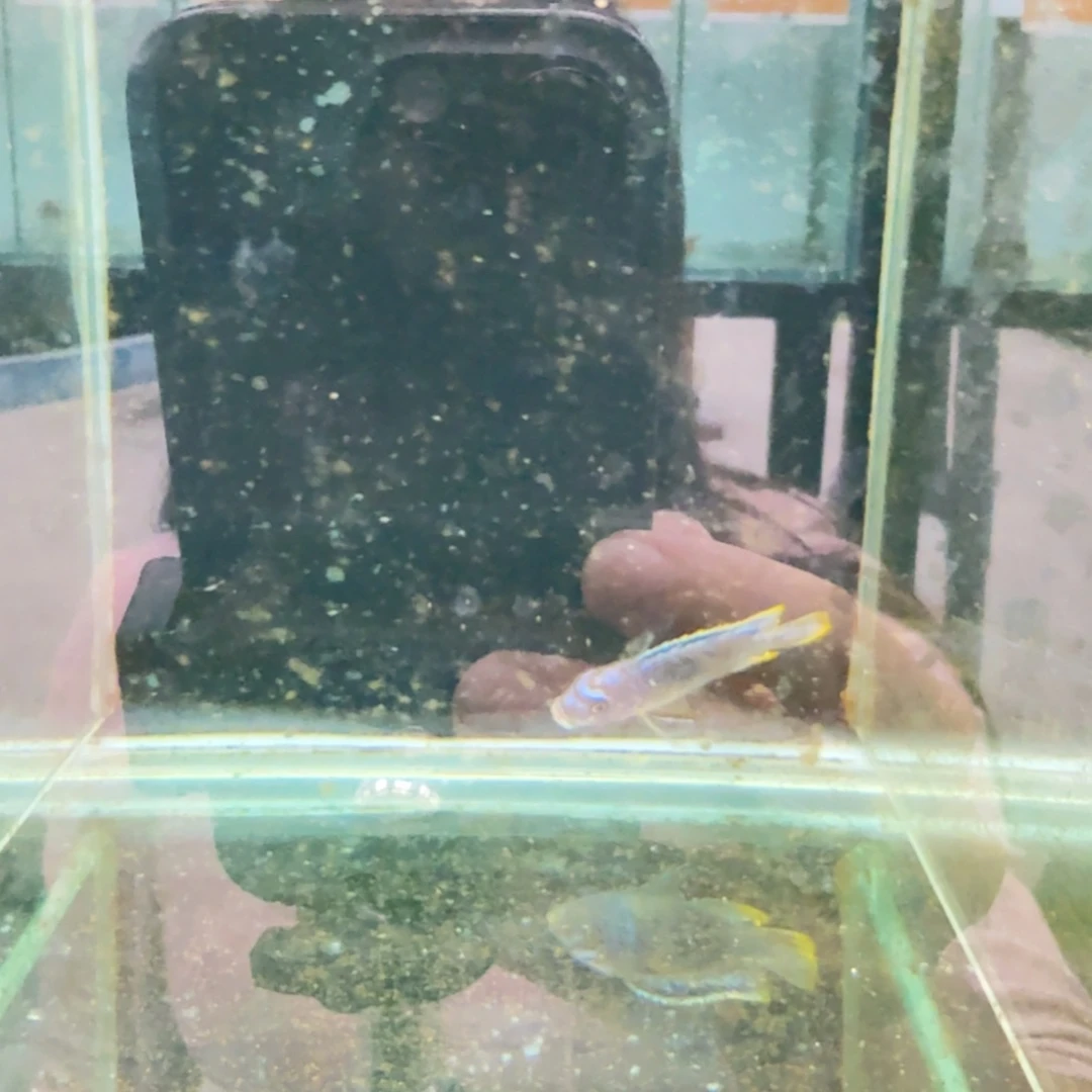 三****海水1262摸索博。