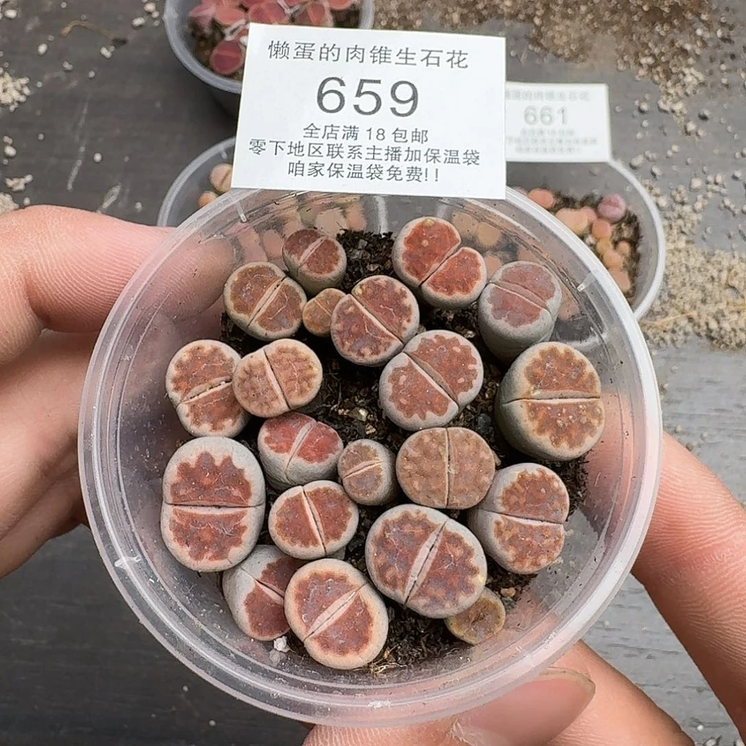 659满18 包邮保温袋联系客服