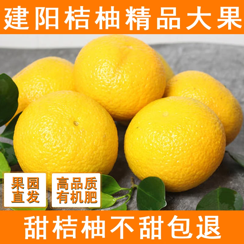 福建仙游桔柚新鲜当季水果非庆元会昌甜橘柚桔子柚子甜心柚黄金柑