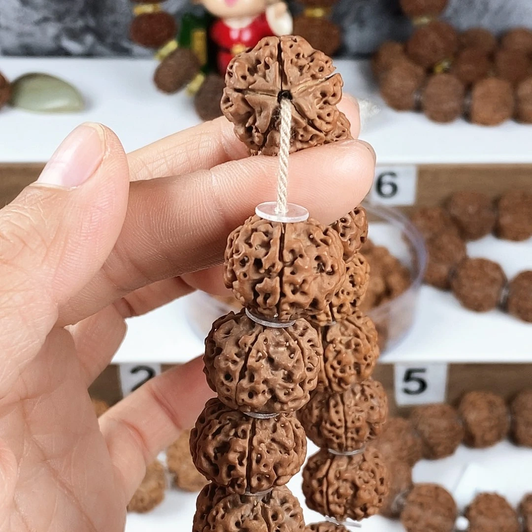 手串金刚菩提原生态精品5星双龙