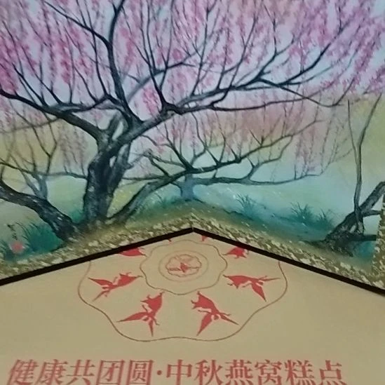 感谢支持新人主播