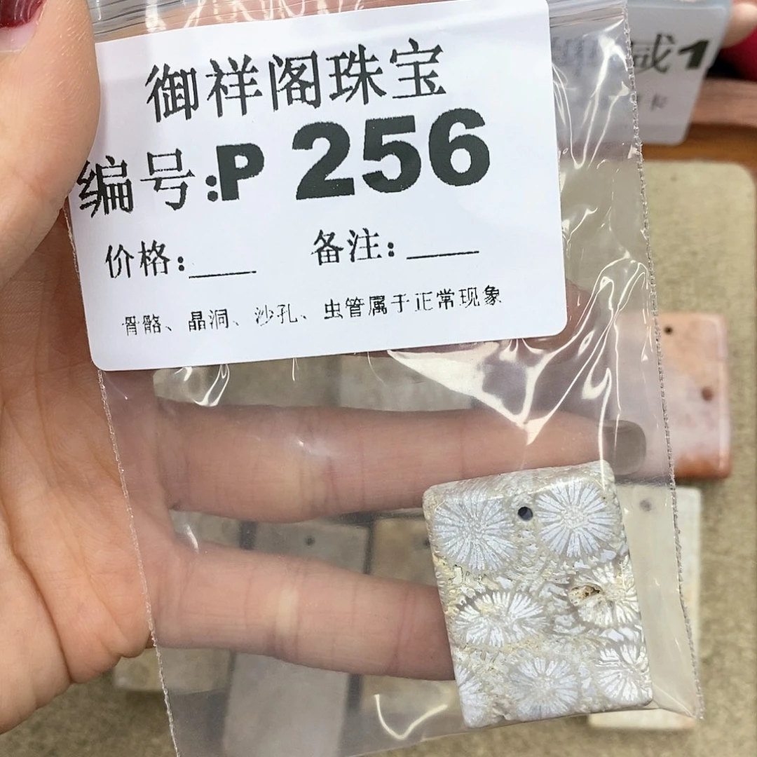 硅化珊瑚（珊瑚玉）P未镶嵌H****h