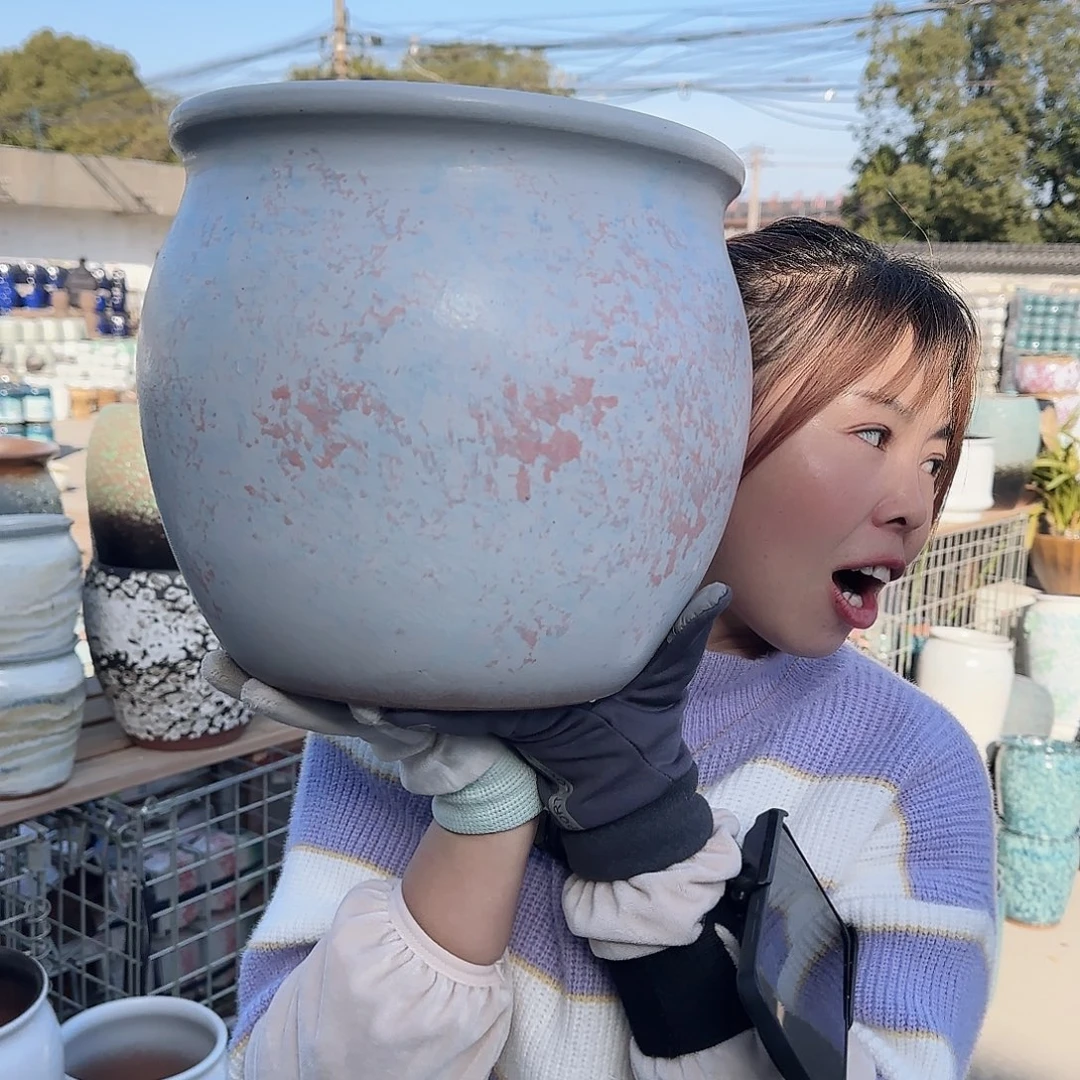 王嫂花盆1209-416高25口25