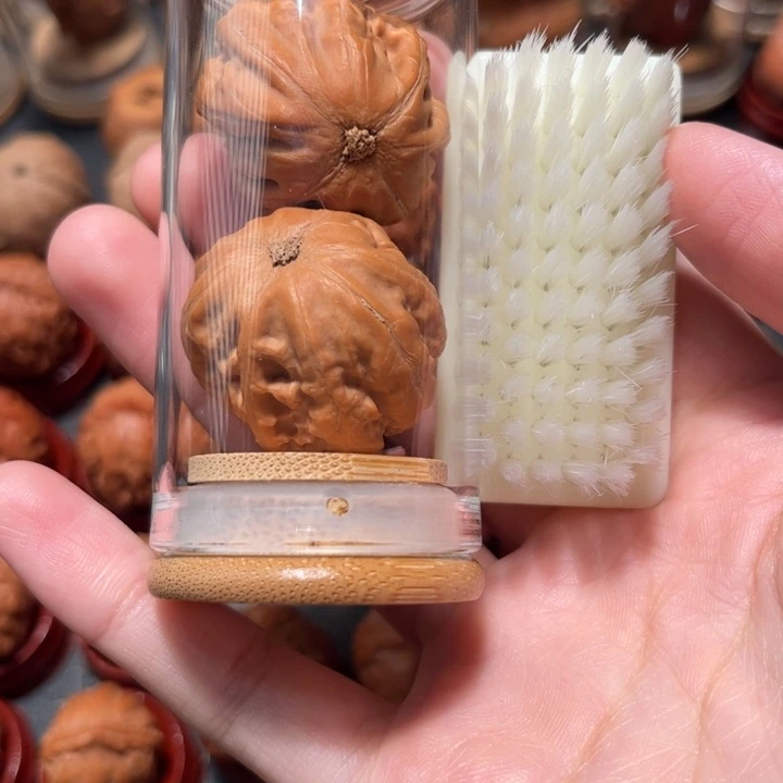 文玩核桃把件霸王龙