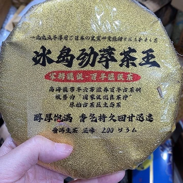 紫砂哈哈哈哈哈哈哈