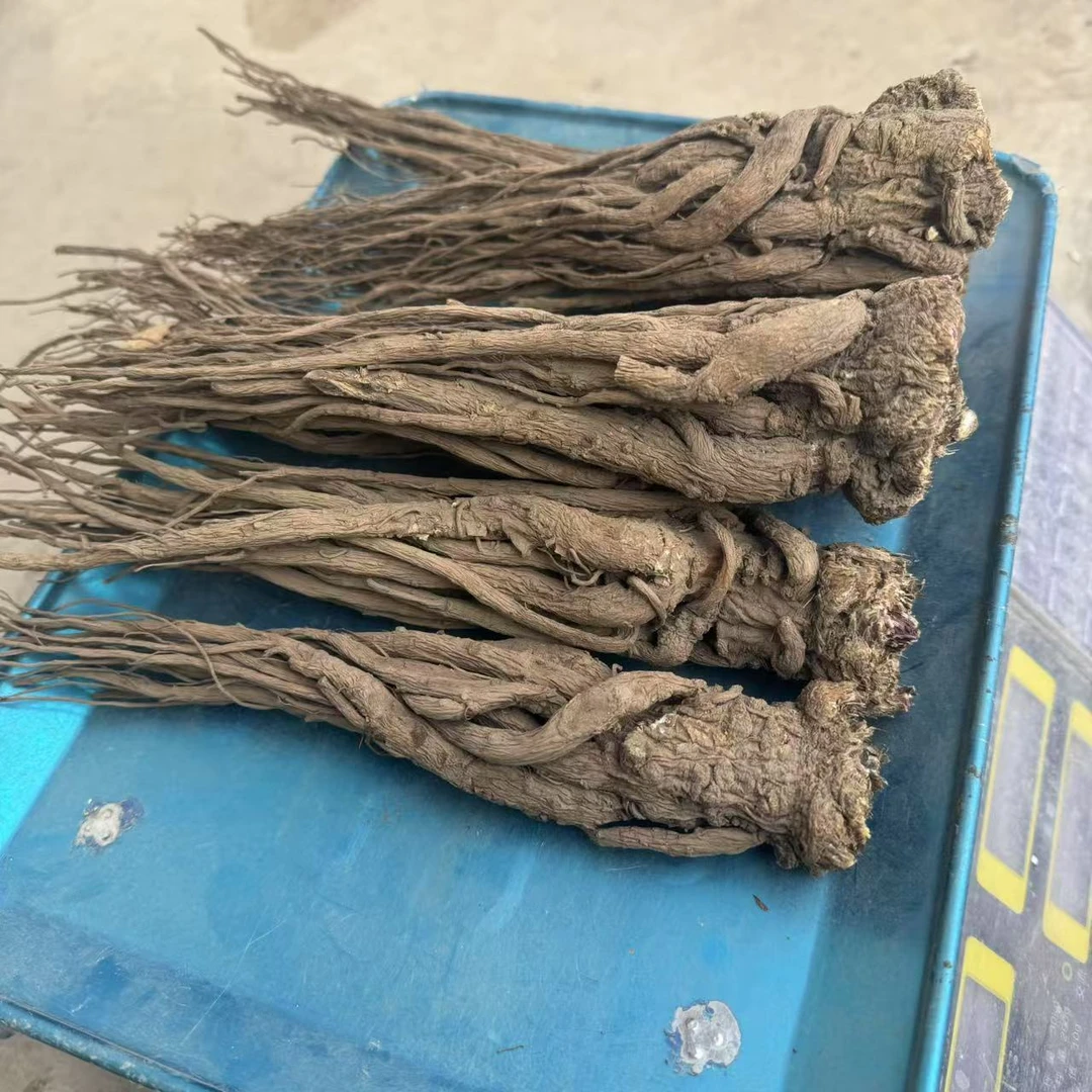 甘肃高原农家自产精选大当桂