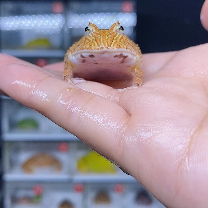 特价秒杀现货特价残