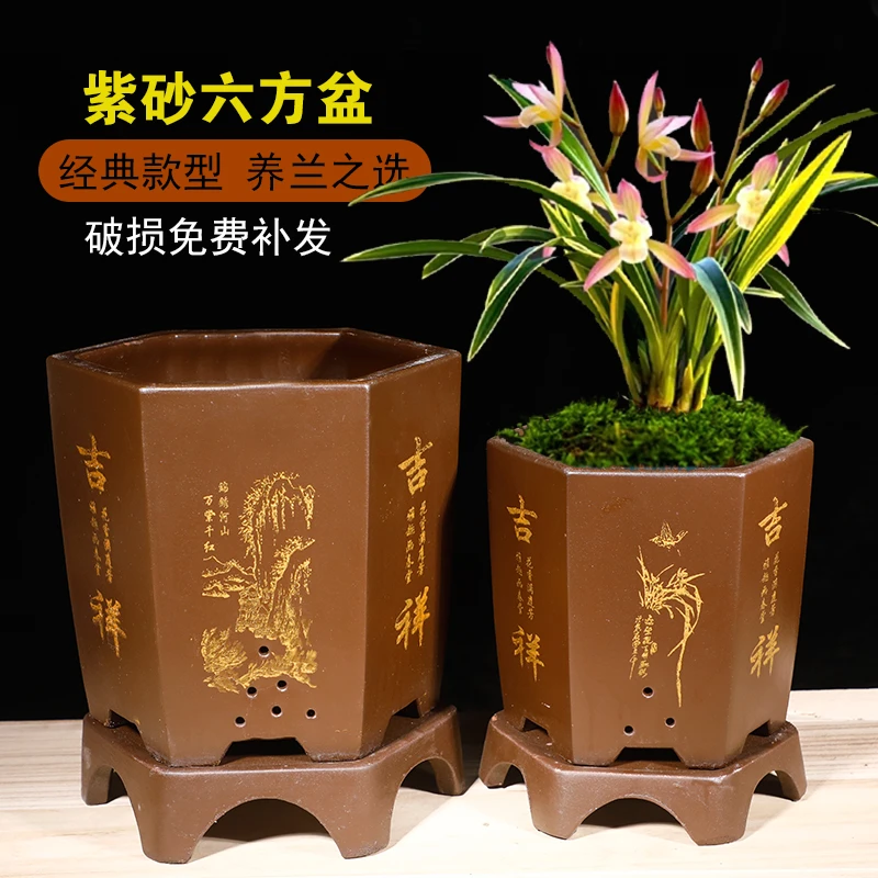 紫砂六角花盆兰花专用花盆蝴蝶兰君子兰花盆陶瓷花盆