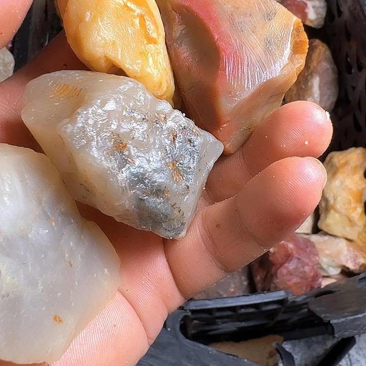 上***室寿山石寿山石的种类