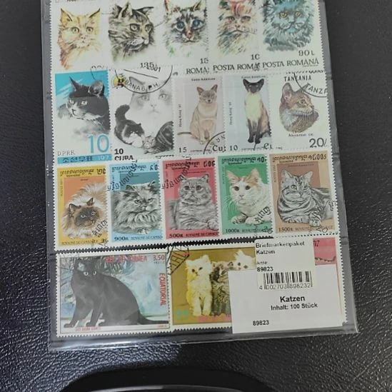 238哈哈哈哈哈哈哈哈瓷
