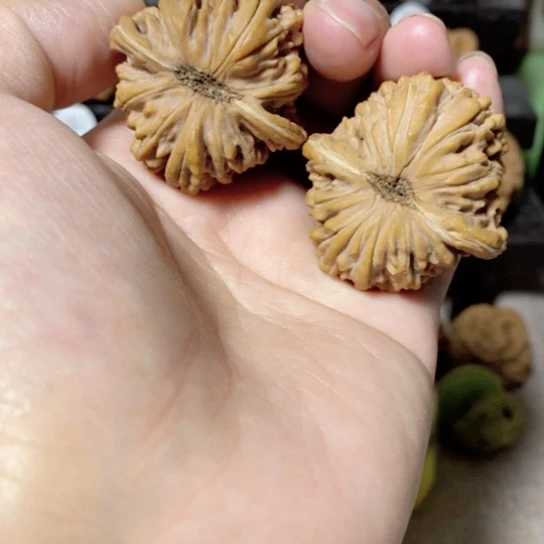 文玩核桃把件陈*～今天