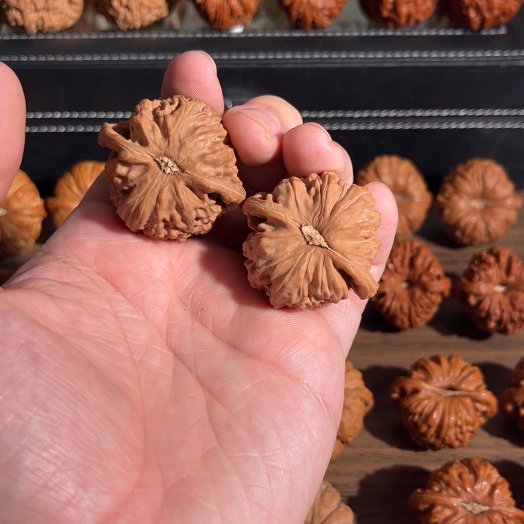 手串/手链核桃匠****楠41全品白狮子