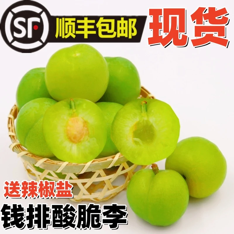 李子正宗钱排三月李广东李子当季新鲜水果现摘现发1斤3斤顺丰包邮