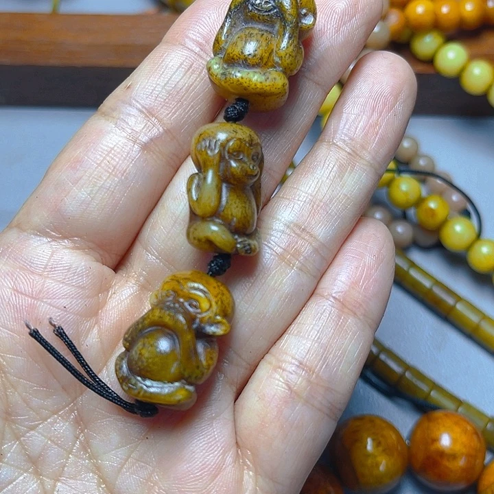 大果紫檀（缅甸花梨）