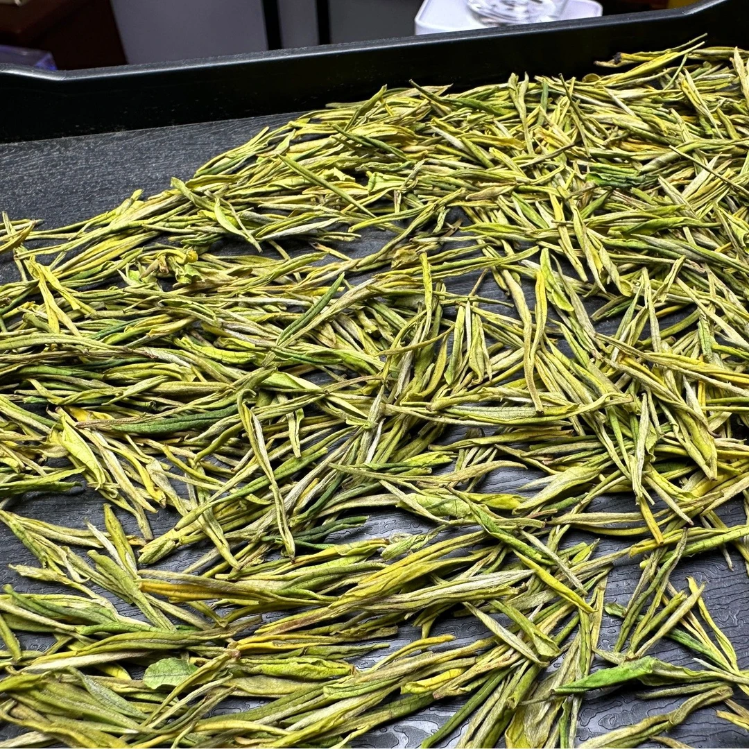 【T10】2025年春茶安吉白茶口粮茶高浓高香茶爽味足